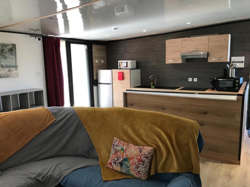 דירות סן-אנדרה Le Flamboyant Avec Piscine Chauffee 30° Et Jacuzzi מראה חיצוני תמונה